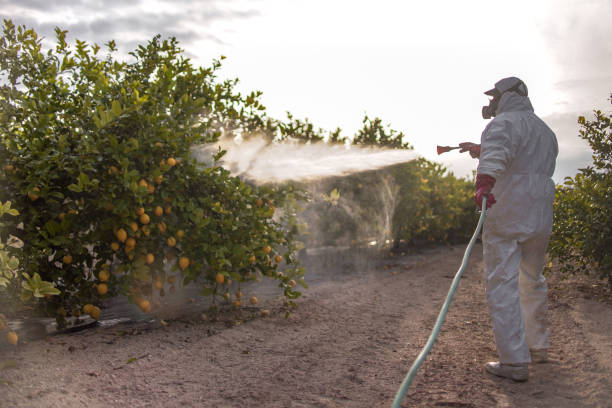 Best Pest Control for Restaurants  in Miamisburg, OH