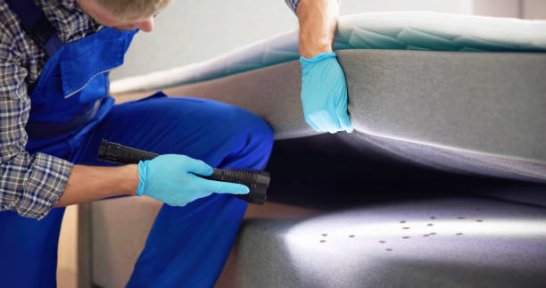 Best Emergency Pest Control  in Miamisburg, OH